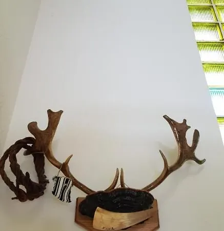 Pansion Renata بيت ضيافة Prozor