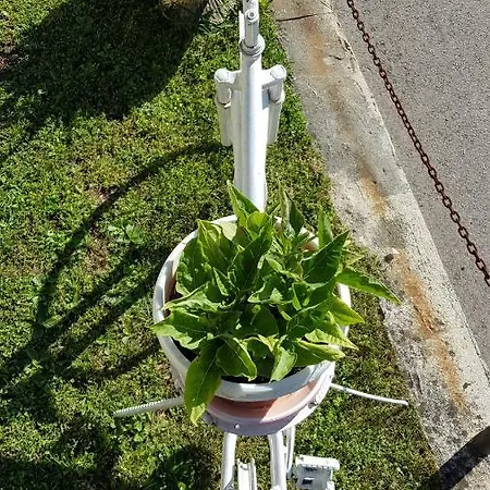 Pansion Renata Gæstehus