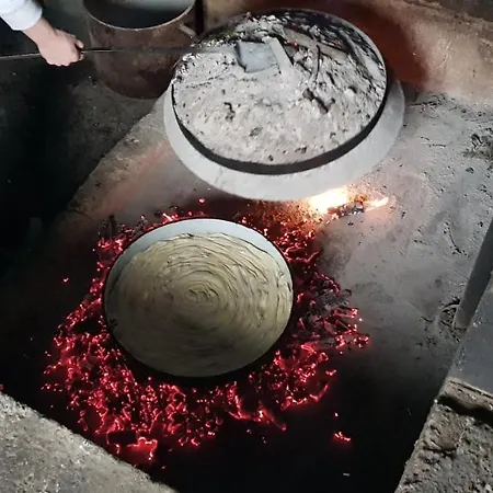 Gæstehus Pansion Renata